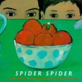 Spider Spider